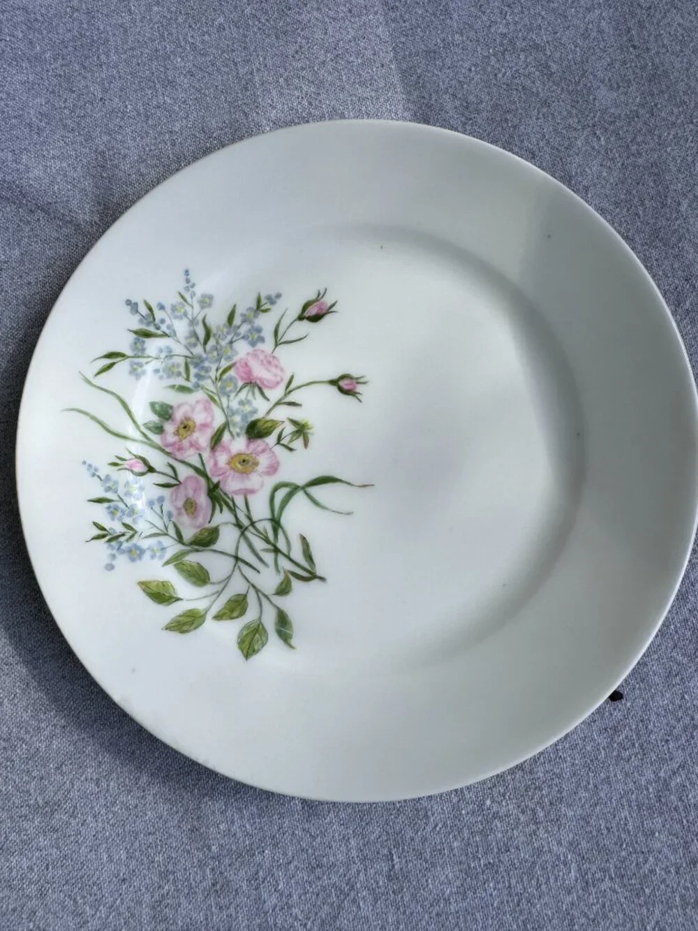 Haviland Limoges Floral Plates – Antique French Porcelain